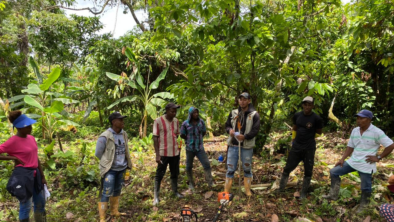 Con esta iniciativa la población podrá generar ingresos adicionales.