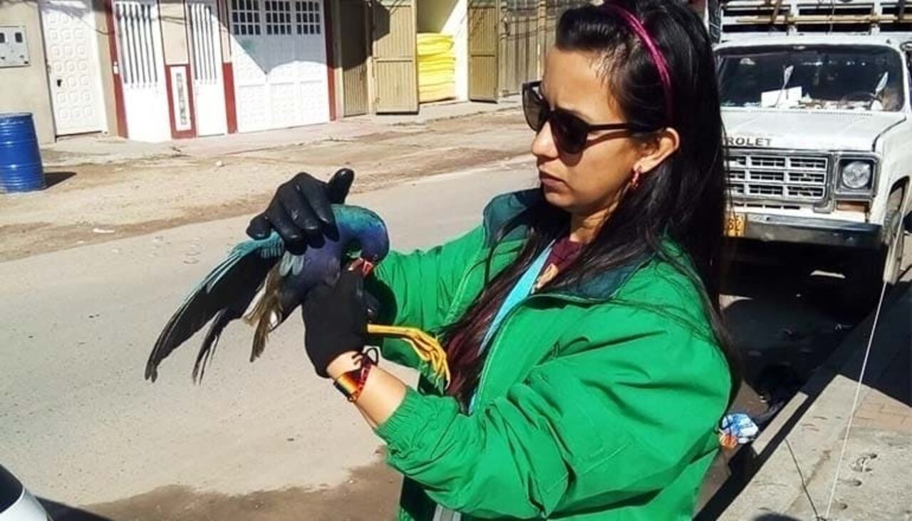 La Secretaría de Ambiente, a través de los profesionales de Fauna, está realizando recorridos por todas las localidades para atender la solicitud.