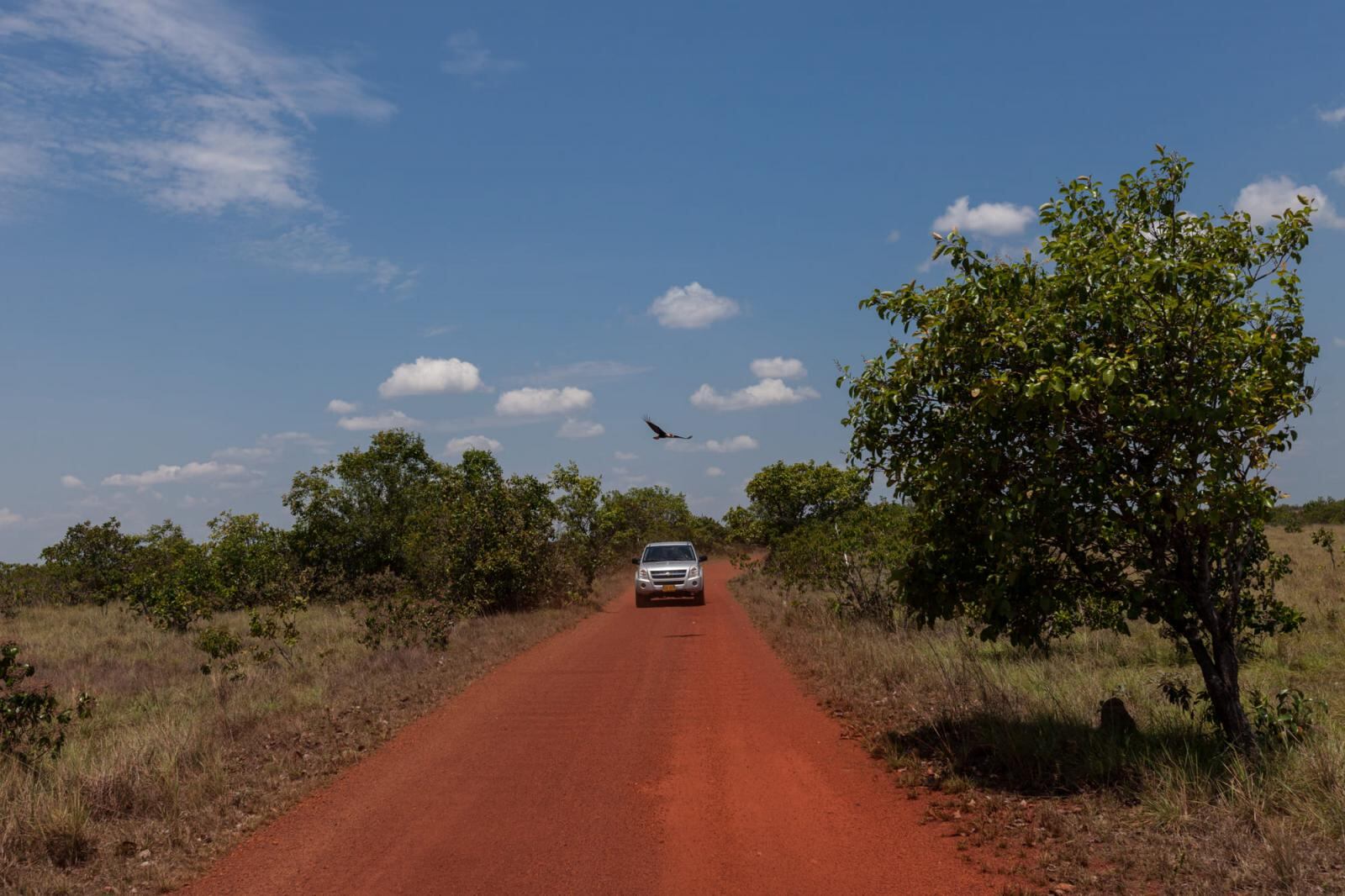Carreteras del Vichada 