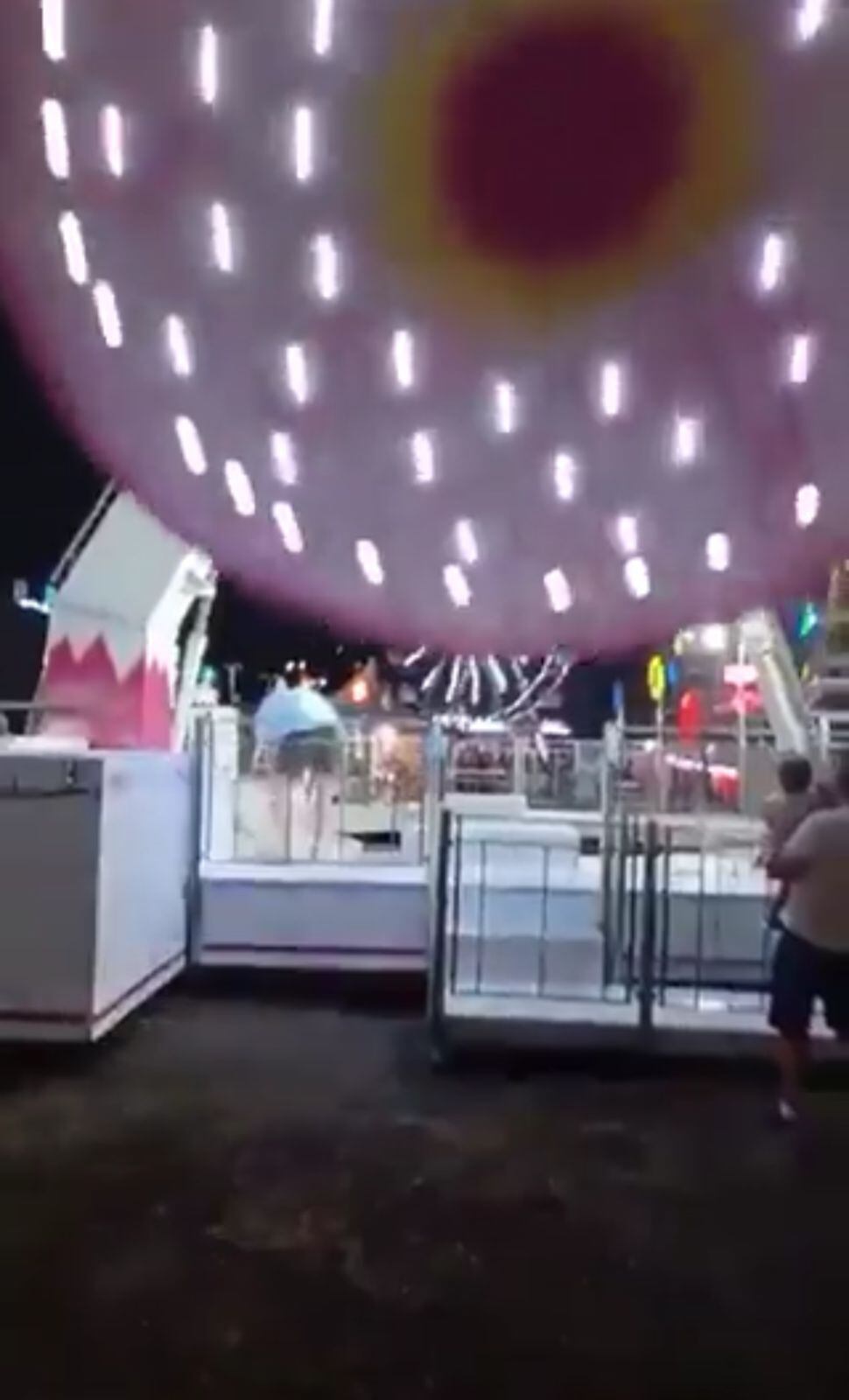 La atracción golpeó al hombre que estaba tratando de salvar al perro