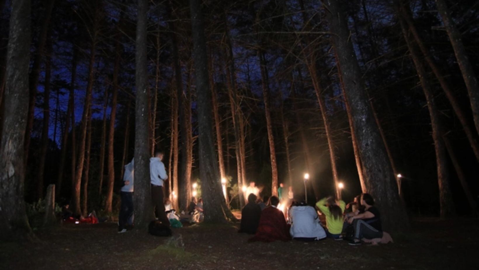 ¿Cuánto cuesta la entrada al Parque Arví, en Medellín, y en qué horarios se puede visitar?