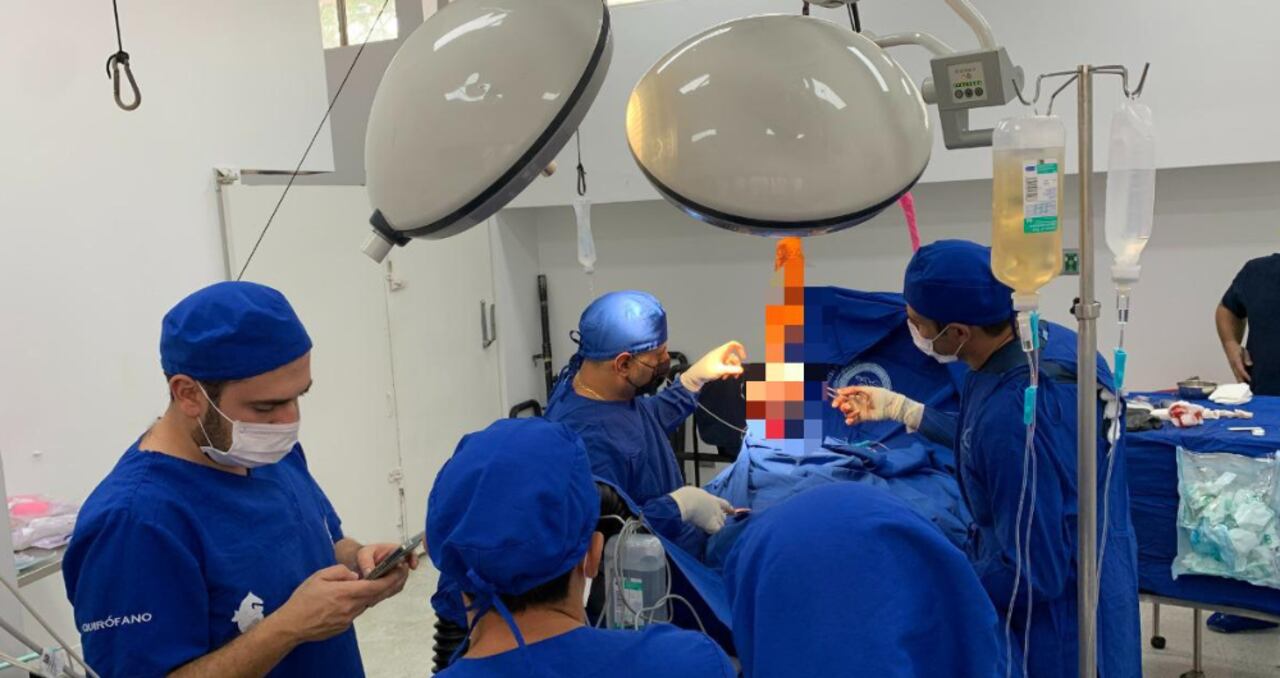 Procedimiento quirúrgico de Valentino, caballo lesionado que adoptó Jhonny Rivera.