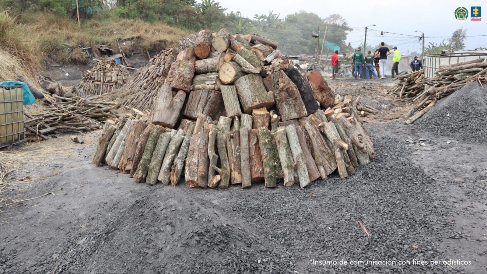 Producción de carbón vegetal ilegal en Cali