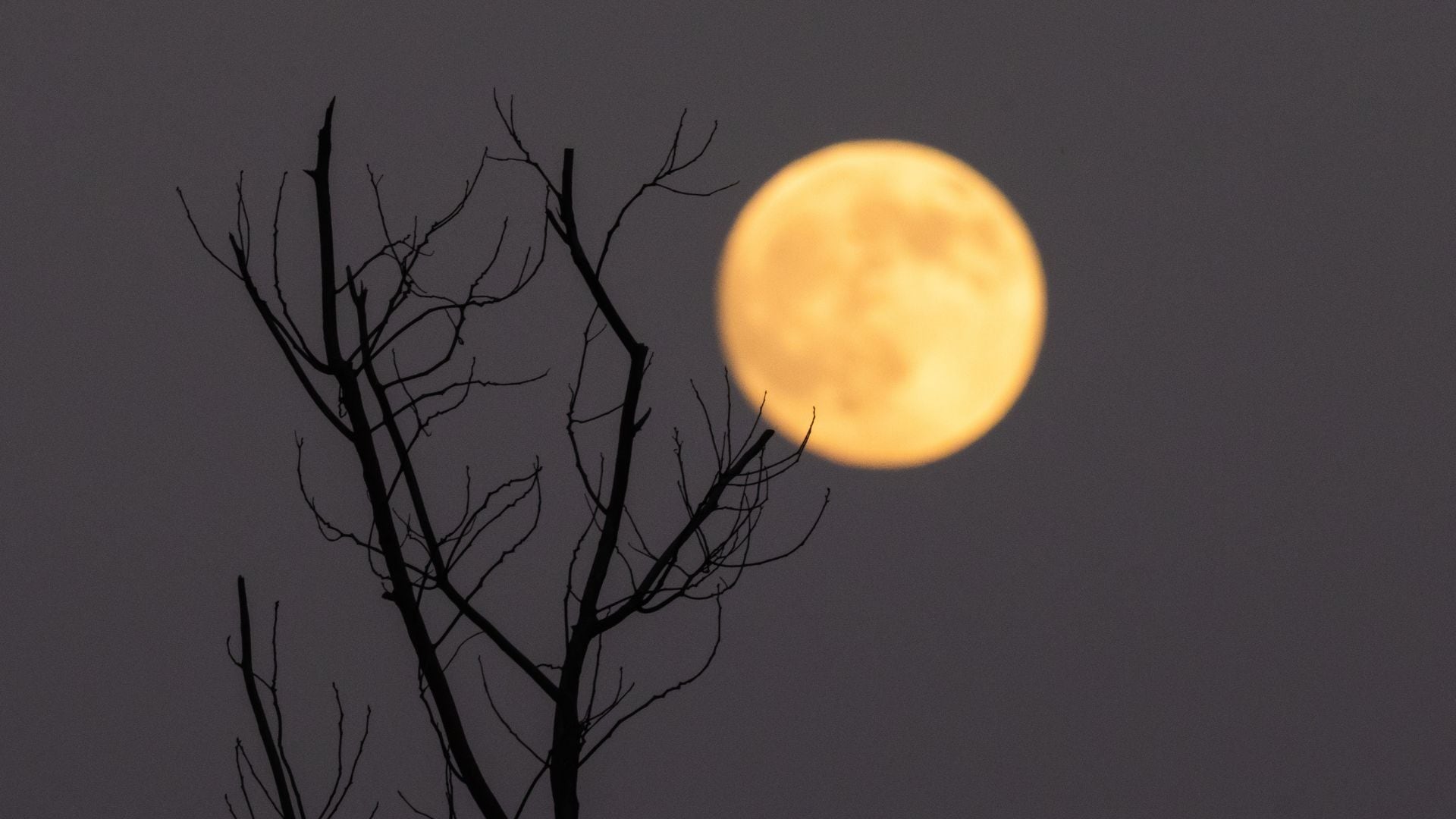 Este fenómeno marca el inicio de la primavera en un hemisferio y del otoño en el otro.