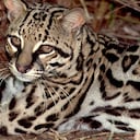 El hecho ocurrió en el corregimiento de Cachirí. (Imagen de referencia).