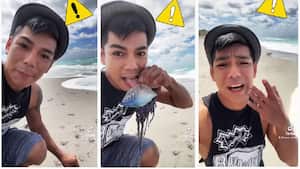 Alexa Reed, generador de contenido que protagonizó el reto viral. Foto: captura de pantalla YouTube @Alexa Reed