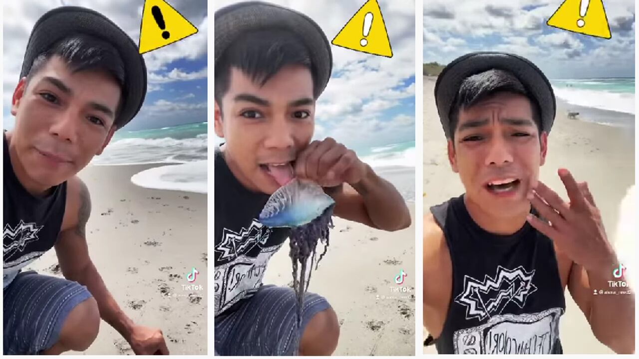 Alexa Reed, generador de contenido que protagonizó el reto viral. Foto: captura de pantalla YouTube @Alexa Reed