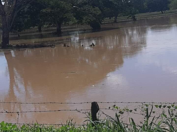 Inundaciones en el Bajo Rionegro, Santander.