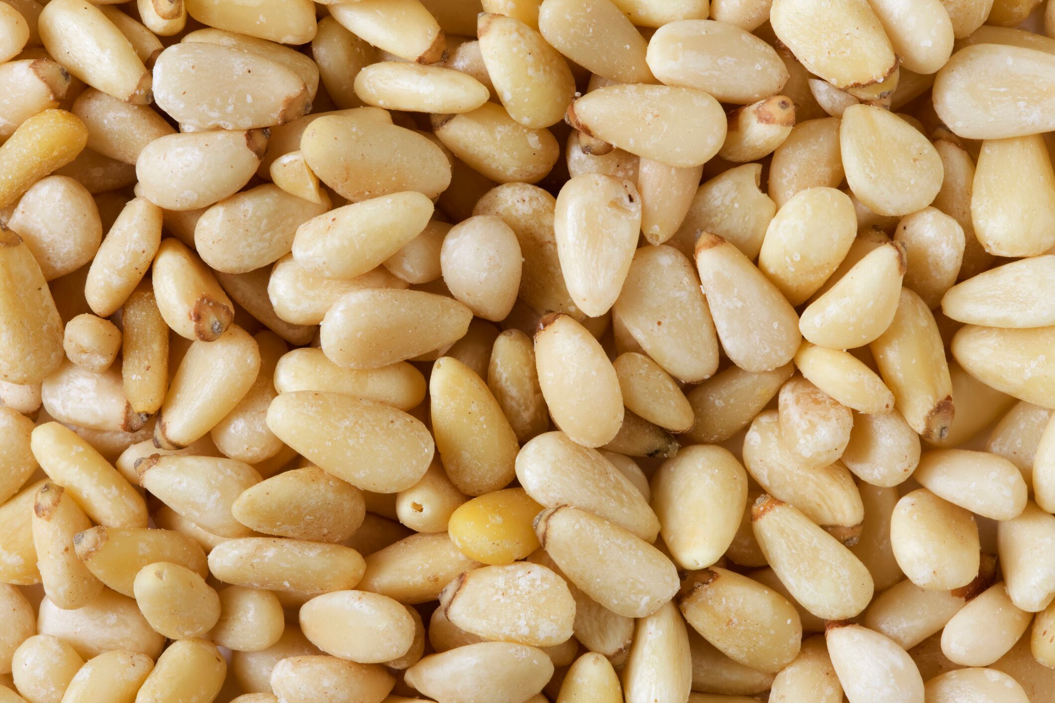 Pine Nuts Background -Photographed on a Canon EOS-1 Mark 3