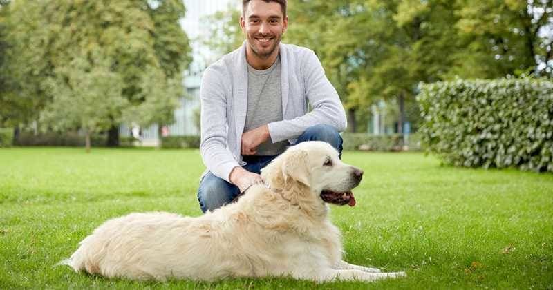 Hombres con perros son más atractivos - Ingimage