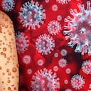 La OMS asegura que la viruela del mono no tiene la misma incidencia mundial que tuvo la covid-19, pero advierte que es importante mantenerla en el radar para evitar graves consecuencias. Foto: Getty images.