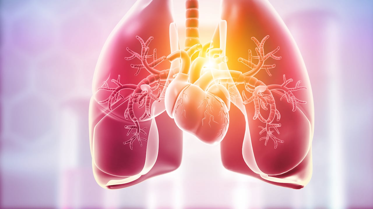 Pulmones: ¿Cómo aumentar la capacidad pulmonar? Estas son las recomendaciones que hacen expertos