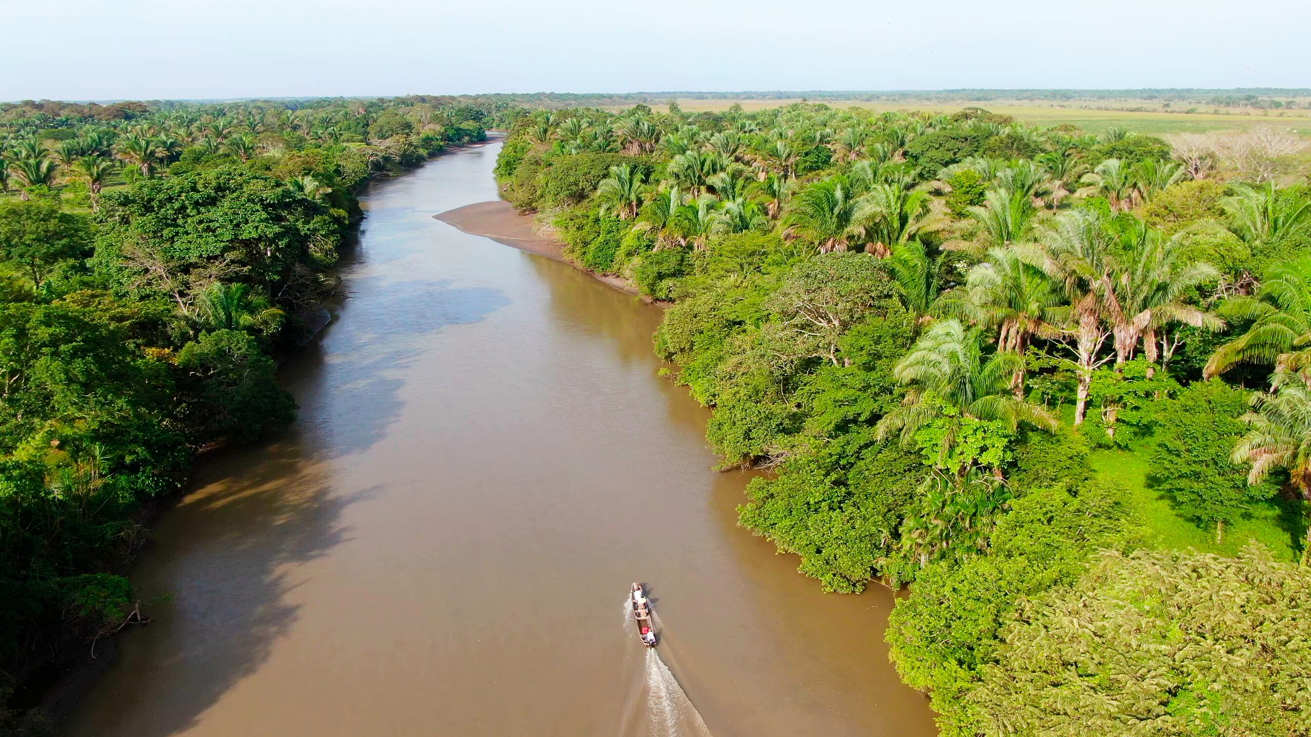 Importancia de planes ambientales
