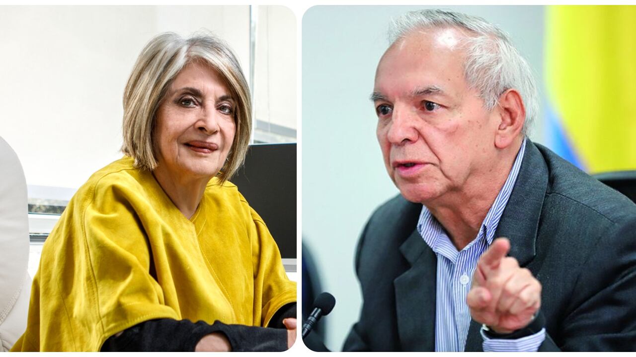 "Todos los ministros de Hacienda tienen que tener fricciones con el jefe de Estado y pararlo de vez en cuando. El presidente no tiene por qué saberlo todo, pero él tiene que tener alguien que le hable", dice Cecilia López.