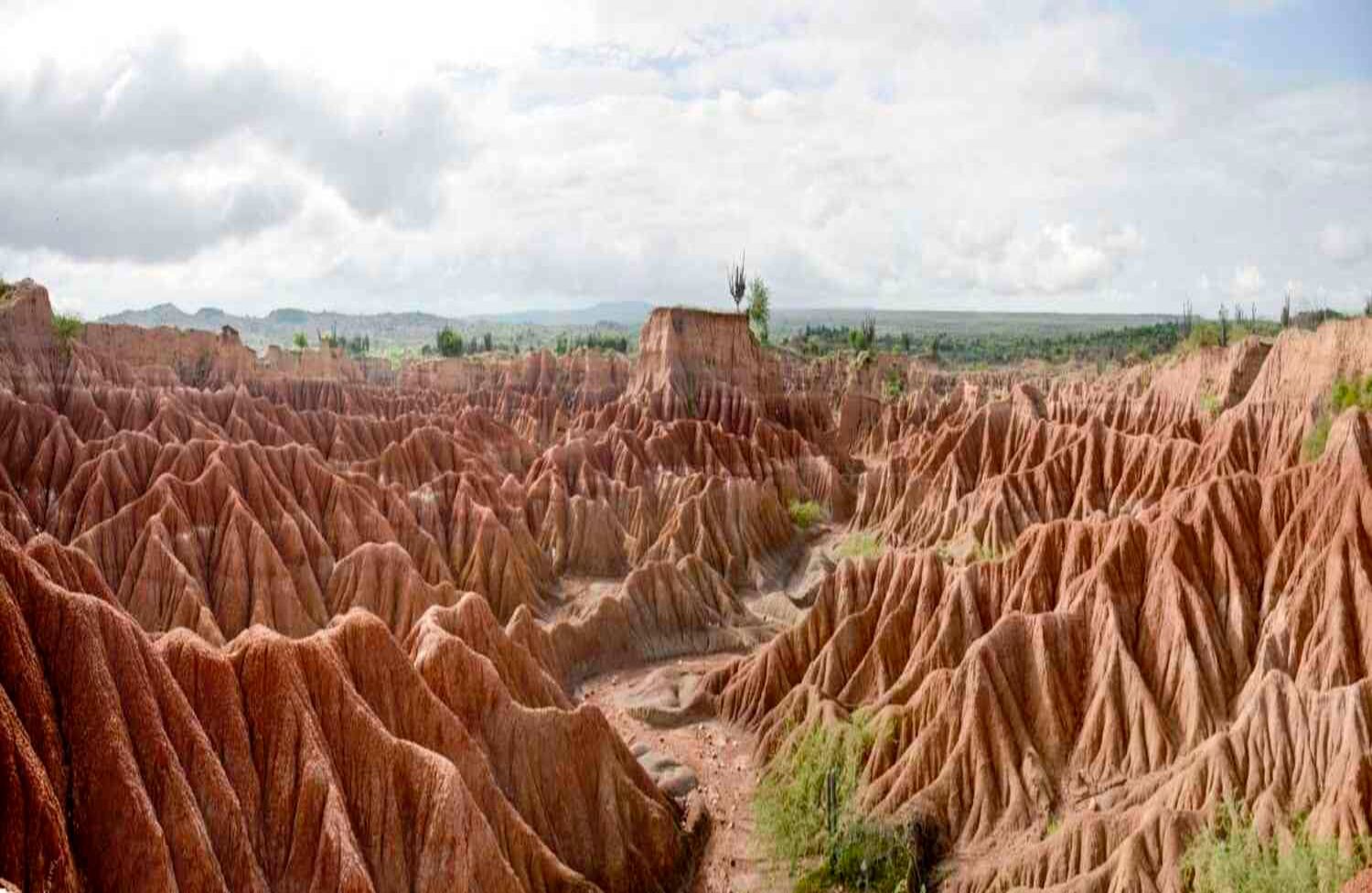 A 20 minutos del municipio de Villavieja está el desierto de la Tatacoa, uno de los paisajes más atractivos del país. Tiene una extensión de 330 kilómetros y su temperatura promedio es de 38 grados centígrados. En las noches se pueden apreciar las 88 constelaciones y lluvias de meteoros. La zona del Cusco es una de las más representativa por su legítimo color ocre. Foto: Diana Rey Melo