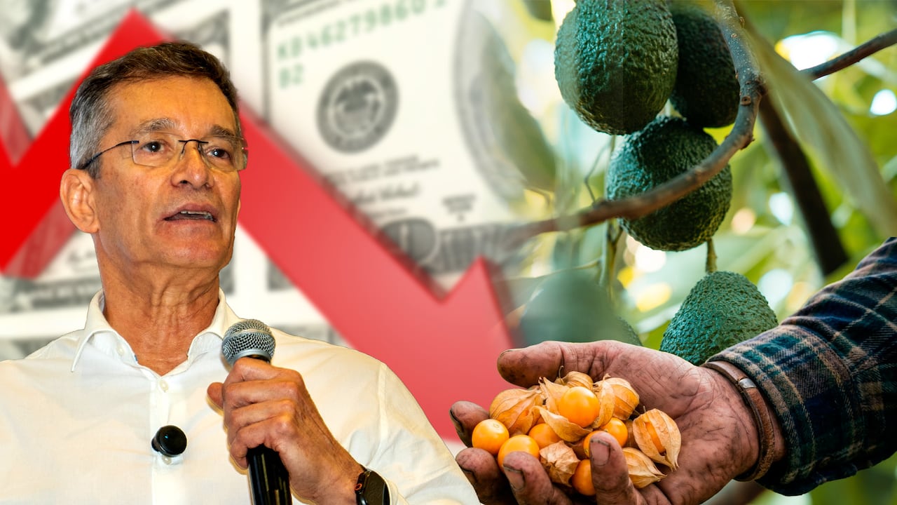 Javier Díaz, presidente de Analdex, advierte que un dólar cercano a 3.000 pesos amenaza empleo, ventas externas y competitividad.