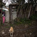 Pobreza multidimensional en Colombia bajó a 17,5% en 2019.