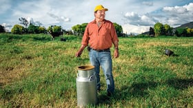 Hoy, los productores aliados de Alpina alcanzan niveles de productividad 3,5 veces superiores al promedio nacional.
