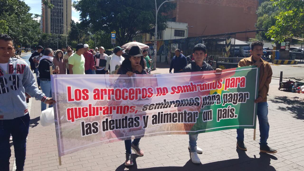 Marcha arrocera en Bogotá.