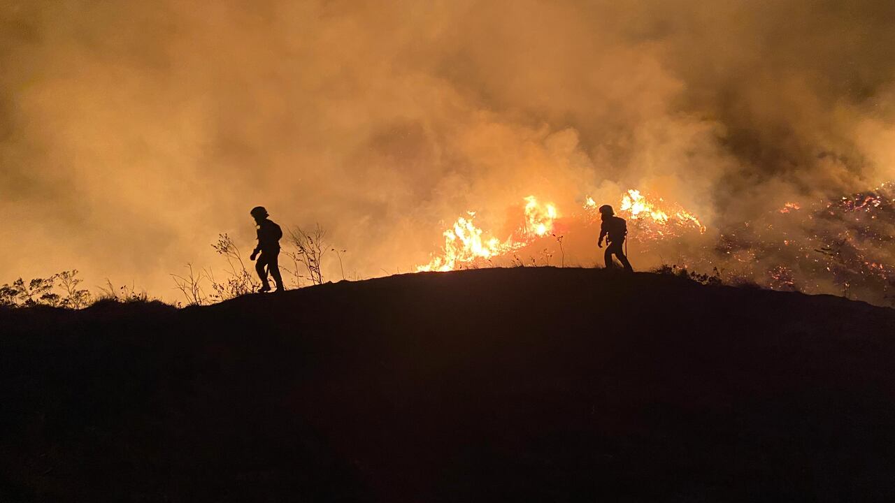 Fuertes incendios en los cerros tutelares amenazaron el patrimonio natural de la ciudad. Bomberos de Cali dieron muestra de heroicidad al combatir durante largas y extenuantes jornadas las llamas, ponieno incluso sus propias vidas en peligro. Foto Bomberos de Cali