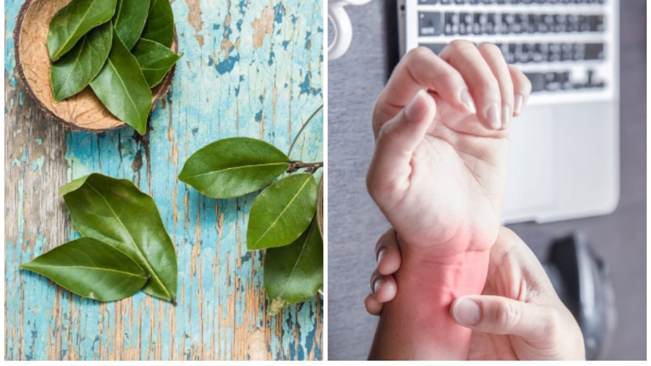 Plantas medicinales para tratar el dolor de las articulaciones.