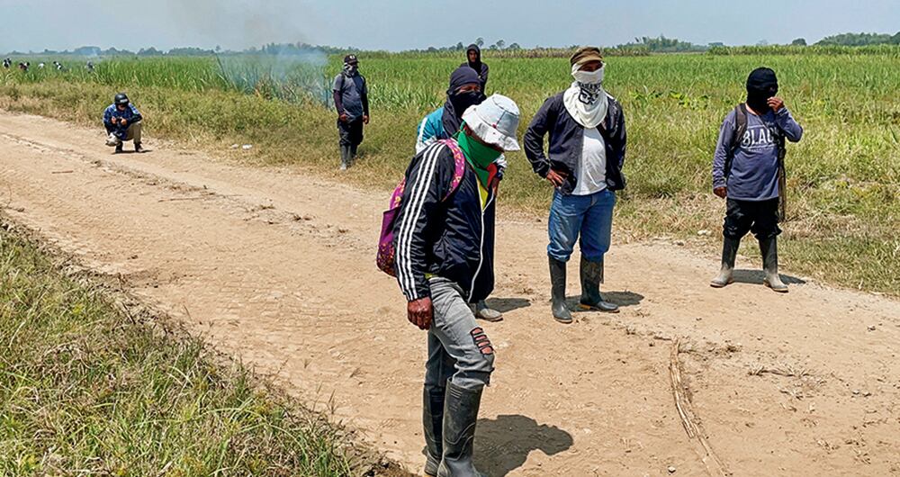 Mientras se encuentra a los responsables y se reparten culpabilidades, los pequeños ganaderos del Magdalena siguen en su encrucijada. 
