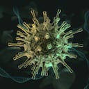 Foto de referencia sobre el coronavirus