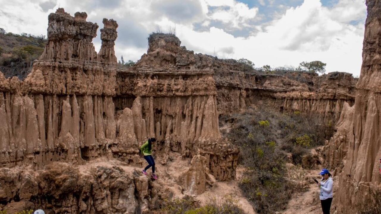NO USAR, Gobernación de cundinamarca, Nemocón