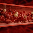 La sangre se encarga de llevar oxígeno a todas las partes del cuerpo.