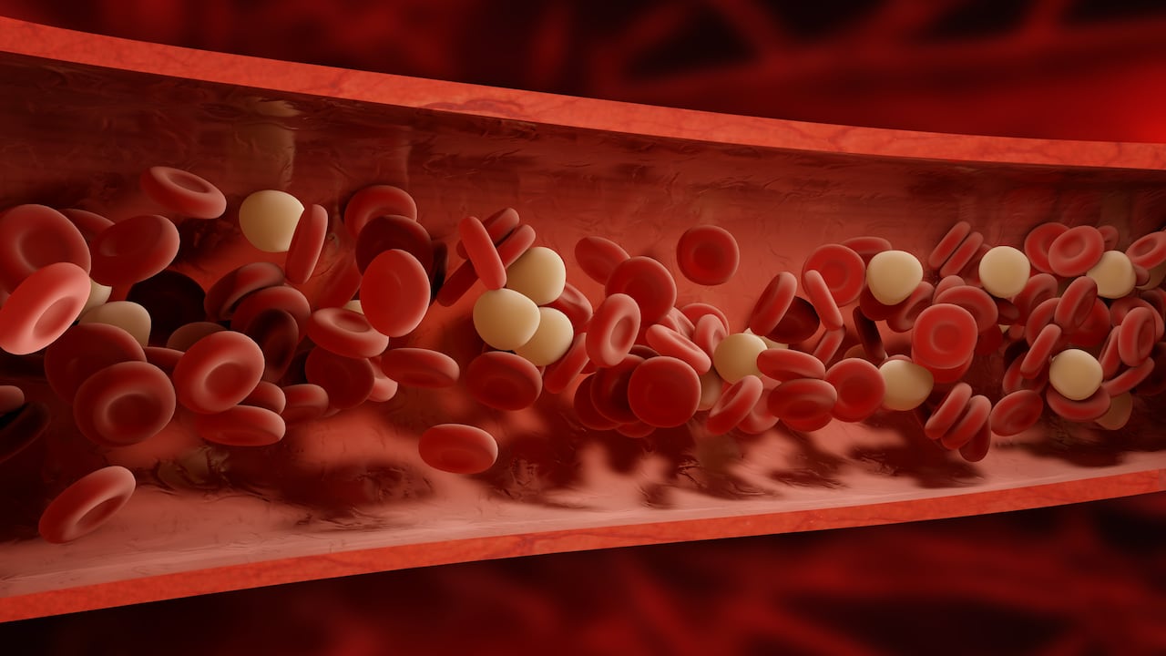 Al circular por todo el cuerpo, la sangre puede contener grasas, azúcares, nutrientes, hormonas, oxígeno, células y desechos.