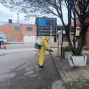 Medidas de prevención frente a la leptospirosis