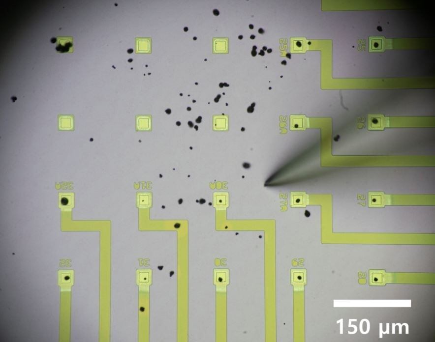 Científicos pueden mover las partículas de la batería (puntos negros) a los microelectrodos (cuadrados amarillo-verde) usando microagujas.