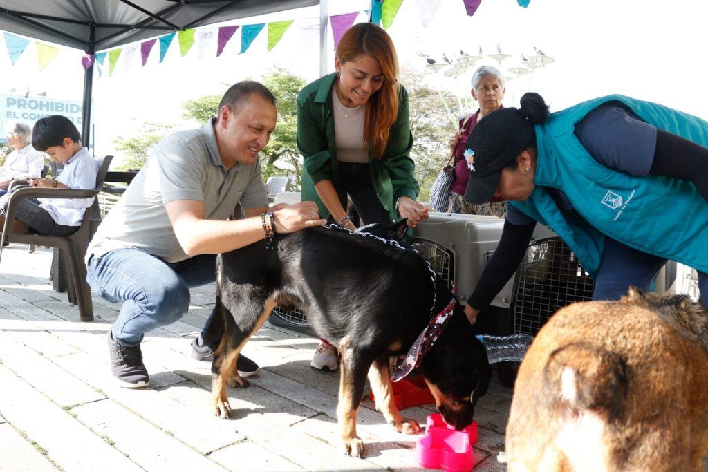 El proceso es liderado por la Secretaría del Medio Ambiente de Manizales