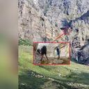 Instagram: @wsarwesterncape