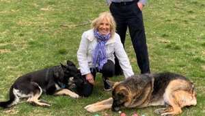 Dos perros de raza pastor alemán acompañan a la familia Biden en la Casa Blanca.