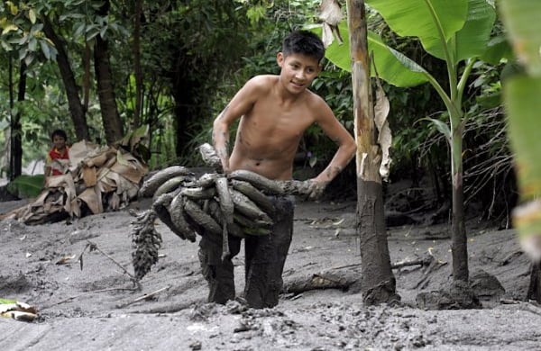 Miles de caucanos han visto cómo sus cultivos quedaron arrasados por la avalancha del río Páez, tras la erupción del Nevado del Huila. 