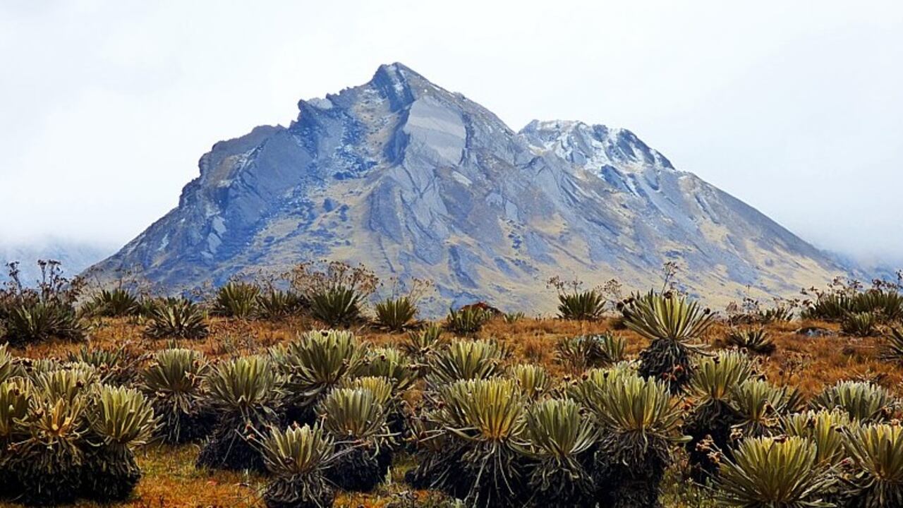 Páramo de Santurbán