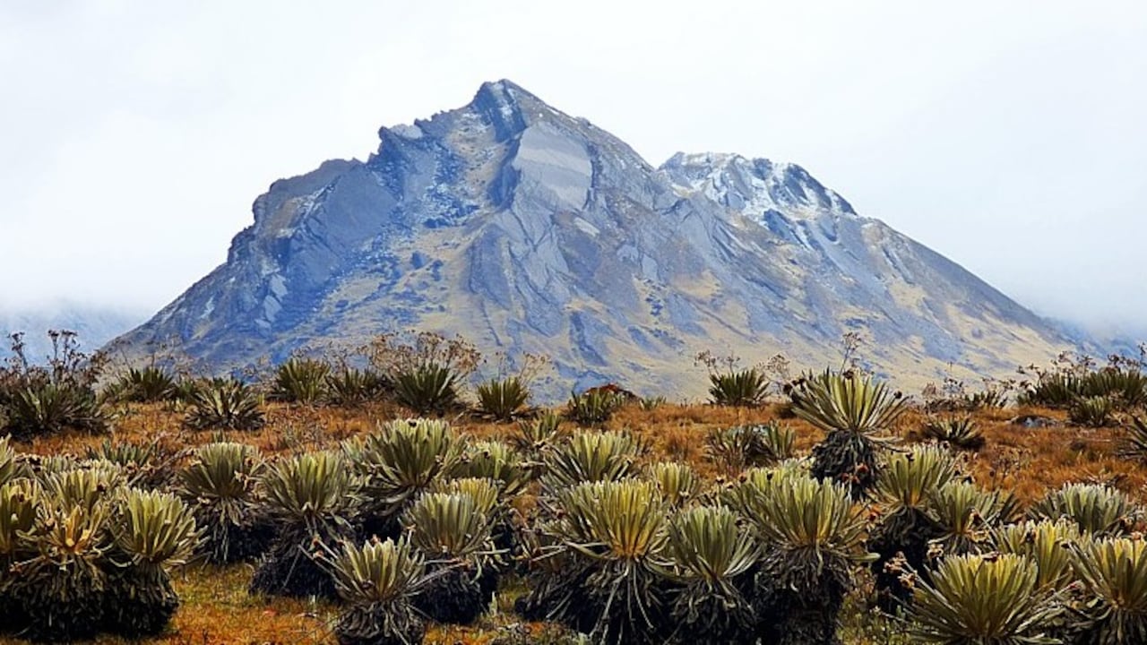 Las maravillas del Páramo de Santurbán.