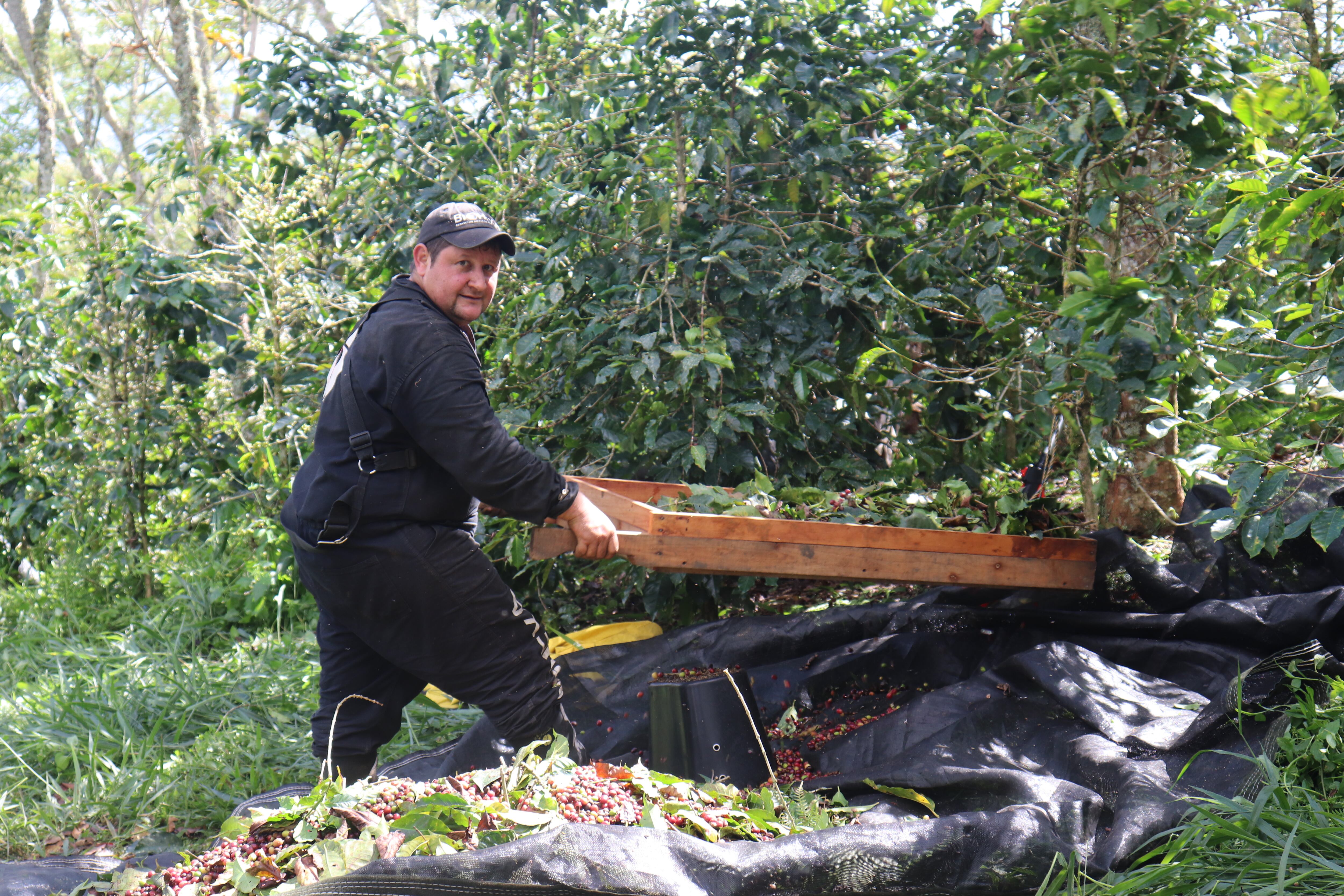 Además de ofrecer diversos servicios a productores cafeteros en el país, Biohexa ayuda a formalizar el trabajo a población migrante venezolana del país.