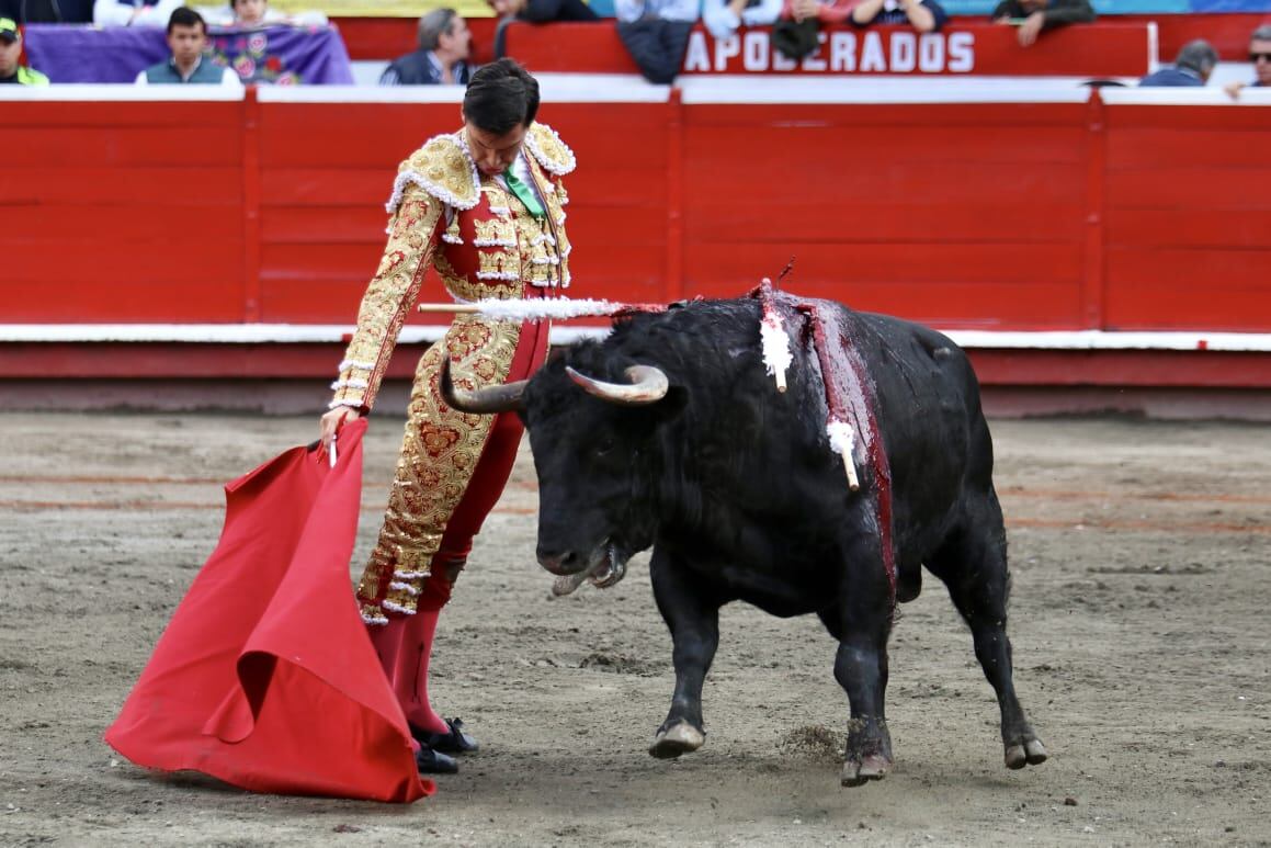 José Arcila, torero manizaleño, cortó una oreja. Demostró su clase y torería.