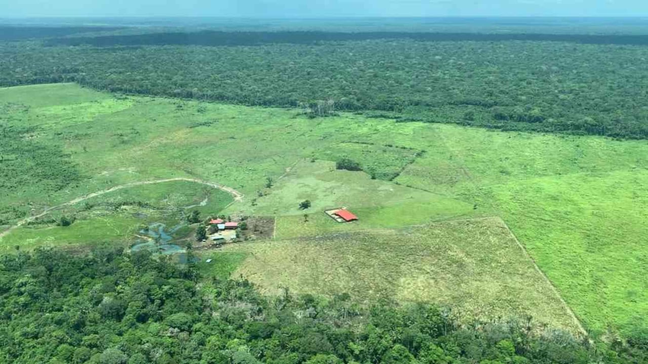 Los territorios indígenas, que han sido claves para la protección de la selva, en los últimos años han sido invadidos por colonizadores ilegales que queman el bosque para apropiarse de la tierra. Aquí una imagen del resguardo Nukak en 2020. Foto: Rodrigo Botero.