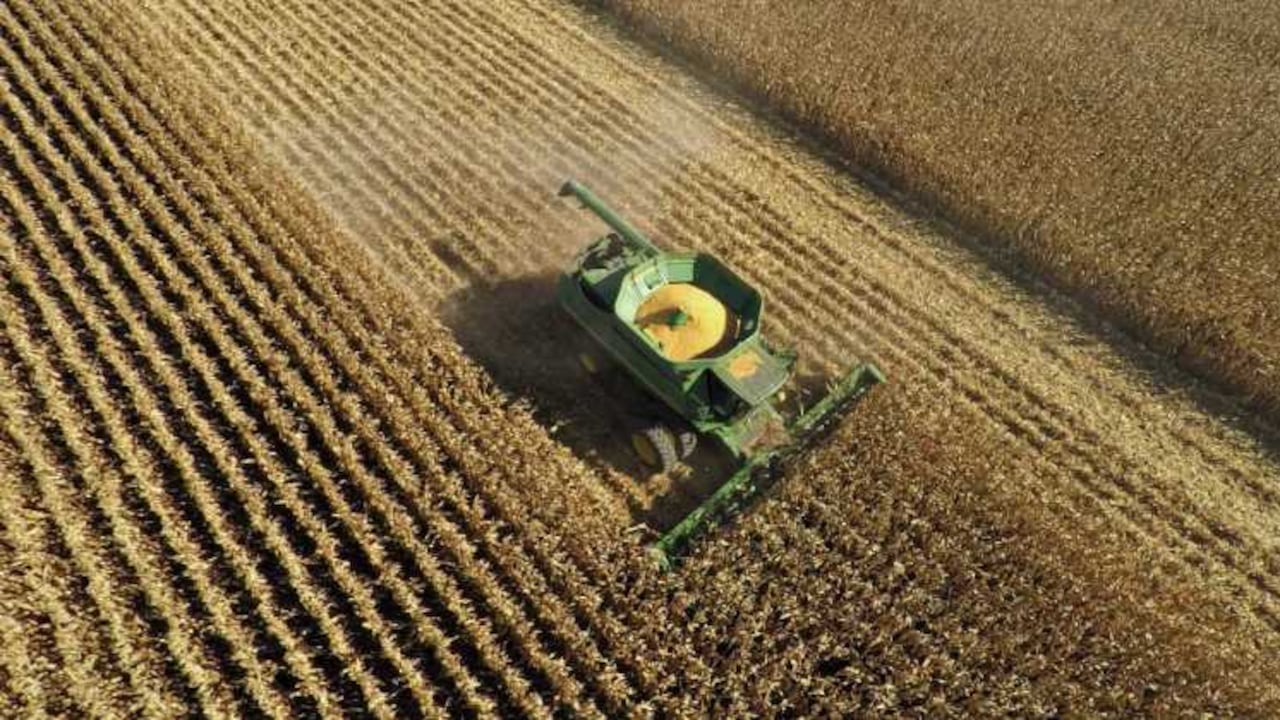 Se destacará la inversión en tecnología y maquinaria y equipo. La maquinaria actual utilizada por menos del 20% de los productores agrícolas data de 1960. El objetivo es traer equipo moderno.