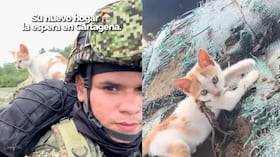 Infante de Marina rescató a una gata en medio de la selva.