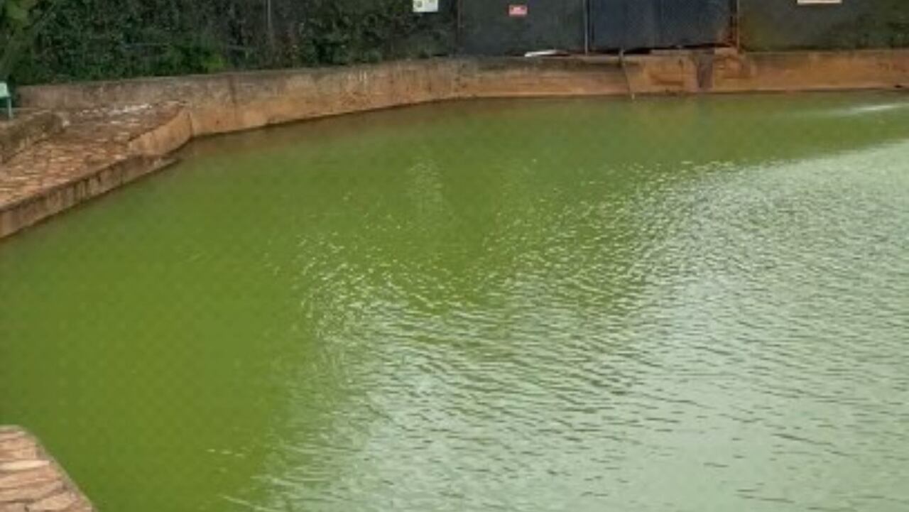 ¿Cómo llegar a las termales de Guasca y cuánto cuesta la entrada?