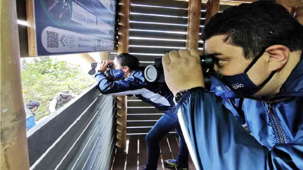 Nuevo observatorio de aves en Bogotá. Foto: Cristian Diaz/IDT