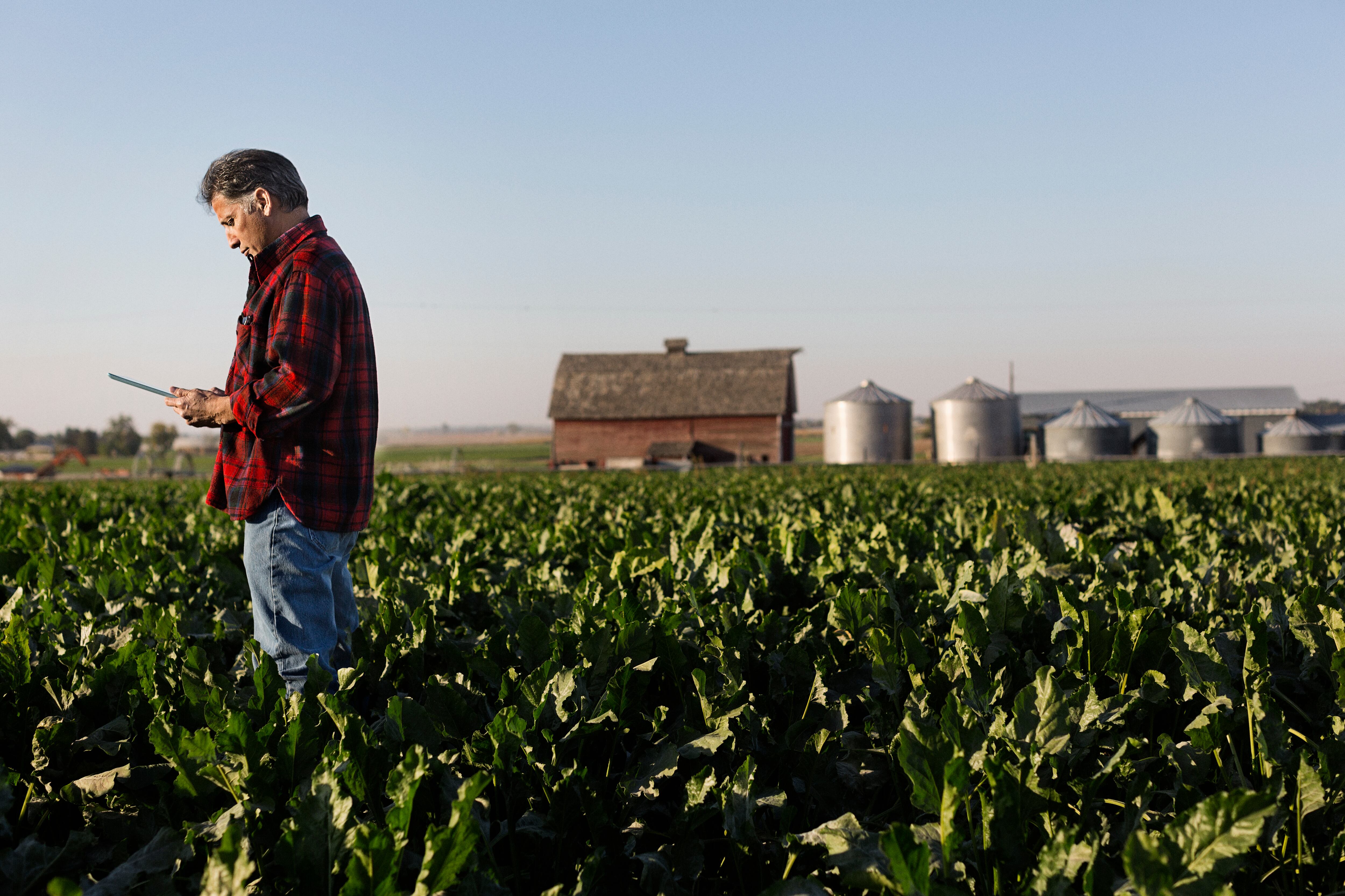 La tierra productiva se considera ahora un elemento estratégico de seguridad nacional, especialmente cerca de bases militares o infraestructuras críticas.