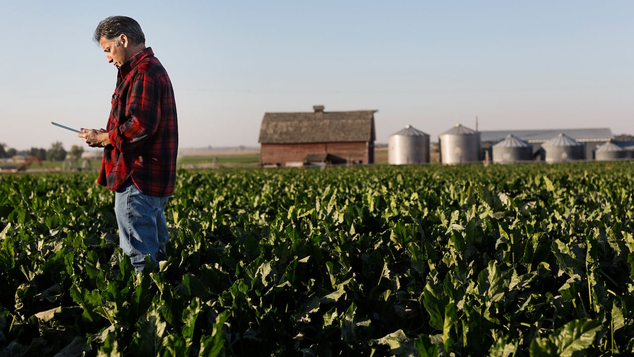 La tierra productiva se considera ahora un elemento estratégico de seguridad nacional, especialmente cerca de bases militares o infraestructuras críticas.