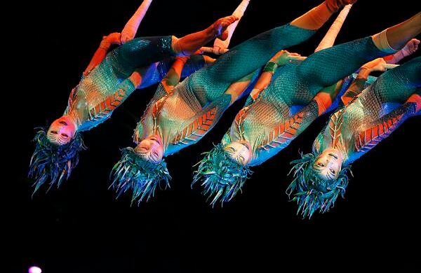 Foto: Guillermo Torres Reina