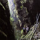 El bosque es un lugar mágico para caminatas y reencuentros con la naturaleza.