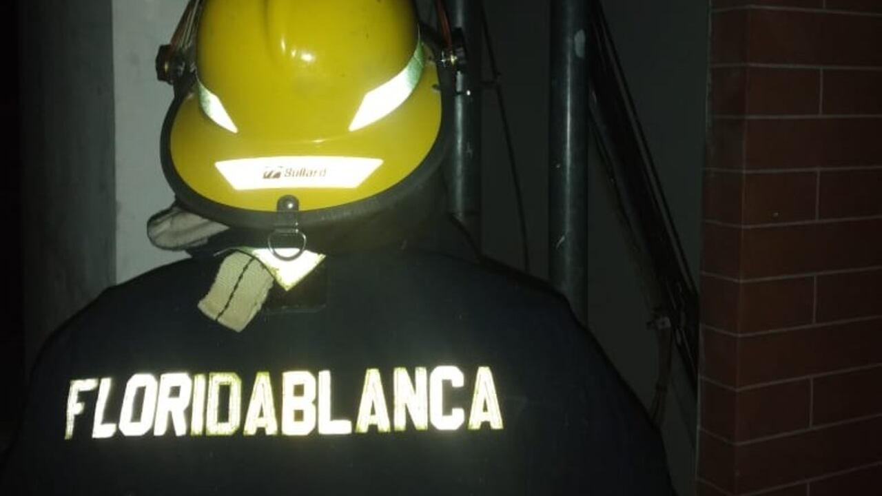 Bomberos de Floridablanca intentan apagar un incendio forestal